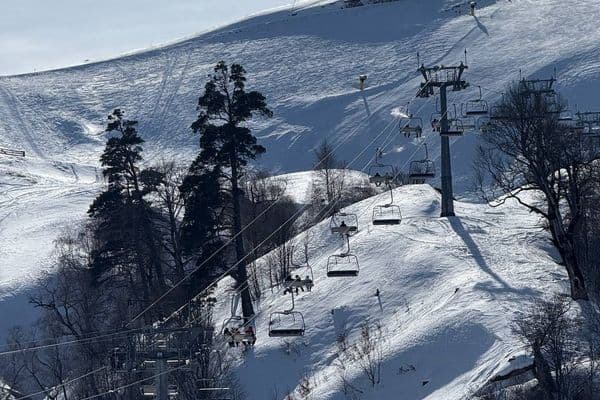 Фото галереи экскурсии