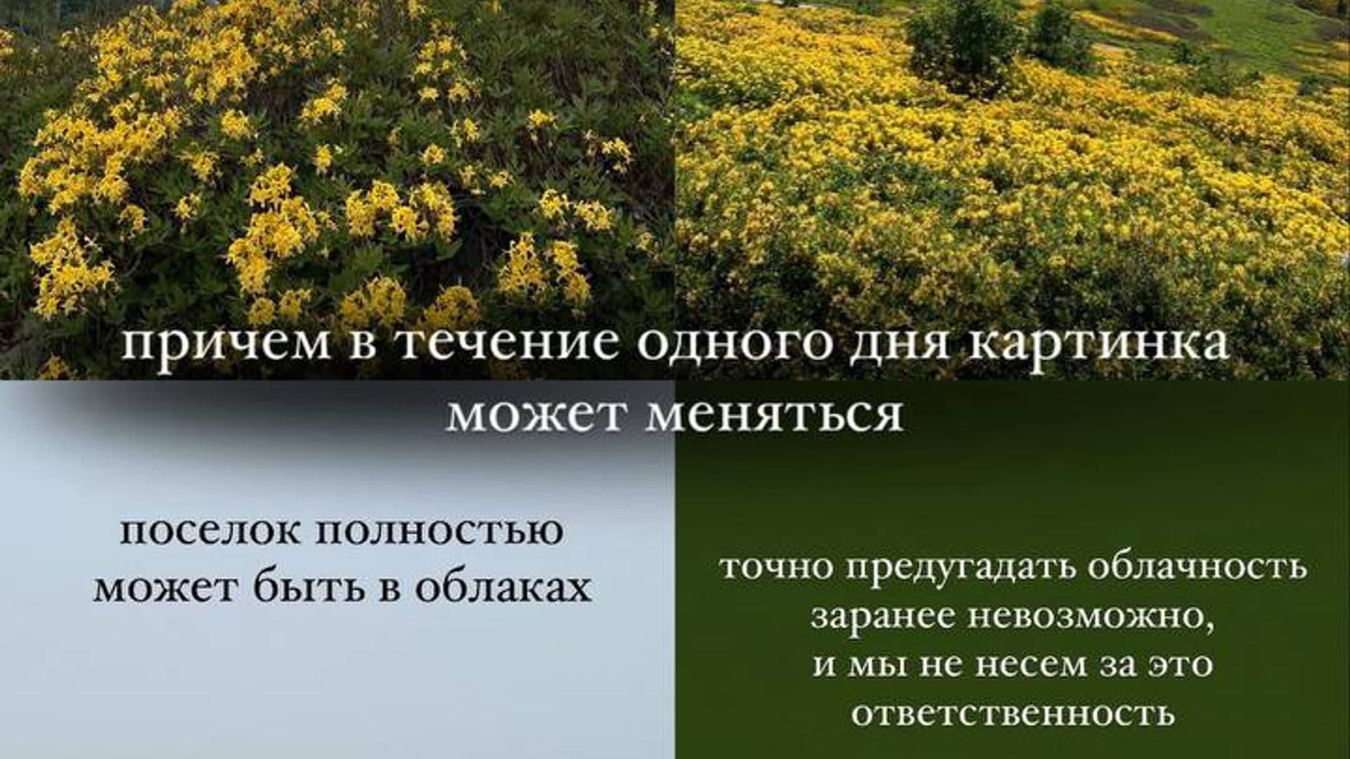 Иллюстрация к статье