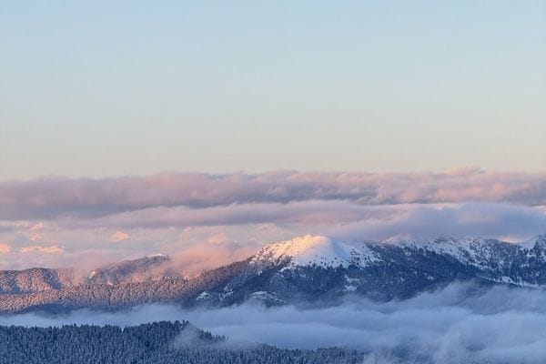 Фото галереи экскурсии
