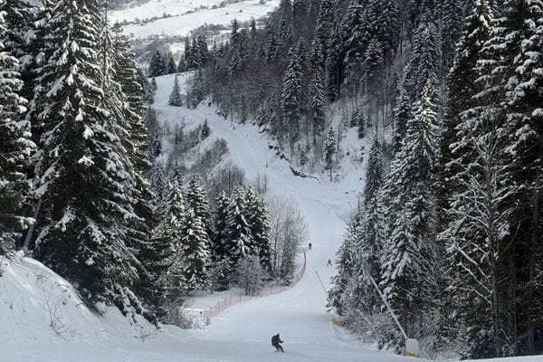 Фото галереи экскурсии